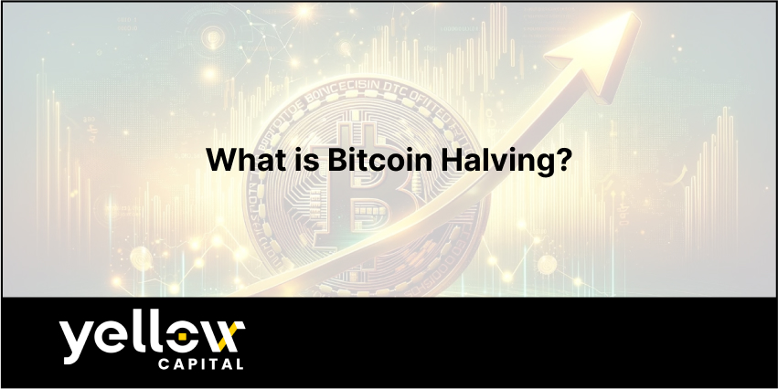 What is Bitcoin Halving